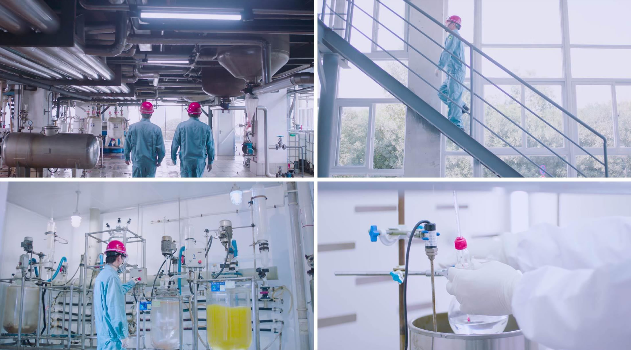 Our Factory